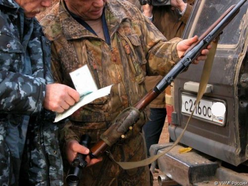 Группу охотников задержали в Томской области с незаконно добытой дичью