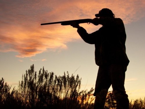 Можно ли находиться в лесу с оружием в период запрета весенней охоты: пояснение специалистов
