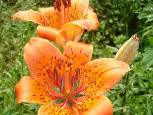 Детство длиной в жизнь.