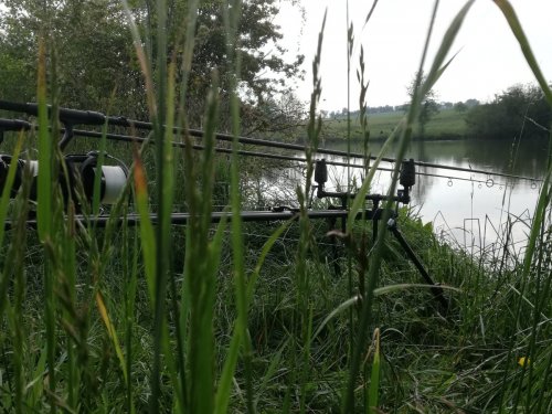 Охота на монстров.