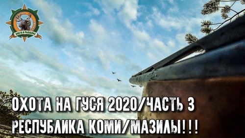 Охота на гуся 2020 в Республике Коми/Часть 3/Мазилы!