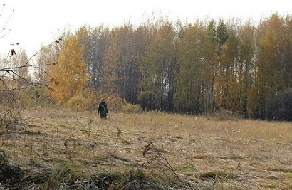 Ожидание осени