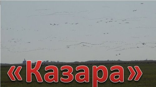 Почти ОХОТА, на ГусЯ 2020