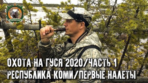 Охота на гуся 2020 в Республике Коми/Часть 1/Не успели расставиться, а гусь уже летит!