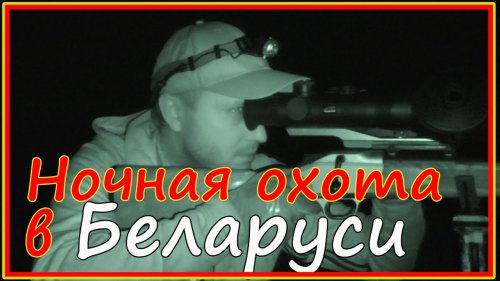 Ночная охота в Беларуси - косуля + кабан.