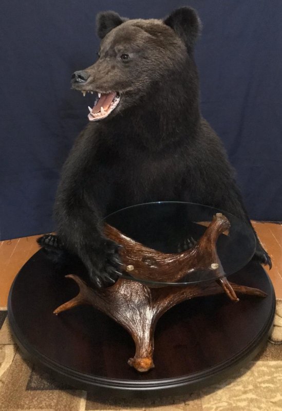 Медведь со столиком