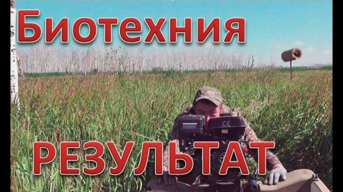 Биотехния для уток. Итоги зимней работы. Процент заселения в искусственные гнезда.