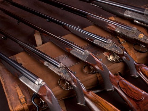 Охотничьи ружья разрешат давать в аренду