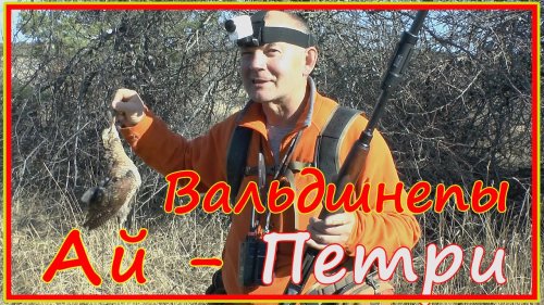 Охота на вальдшнепа в горном Крыму.
