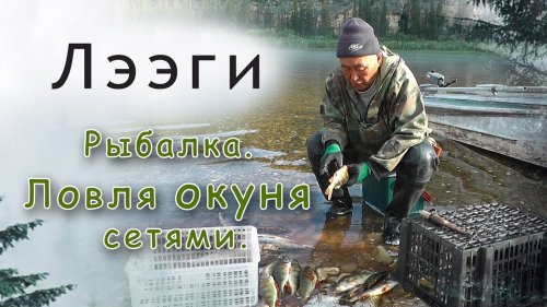 На рыбалке в Якутии. Ловля окуня сетями. Как правильно разделывать рыбу.