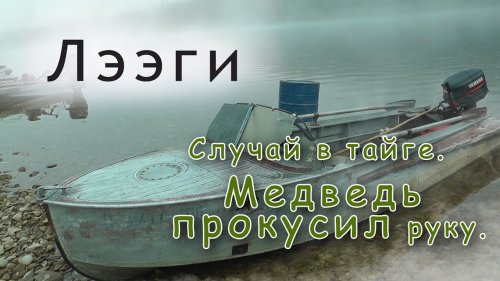 Случай в тайге. Медведь прокусил руку.