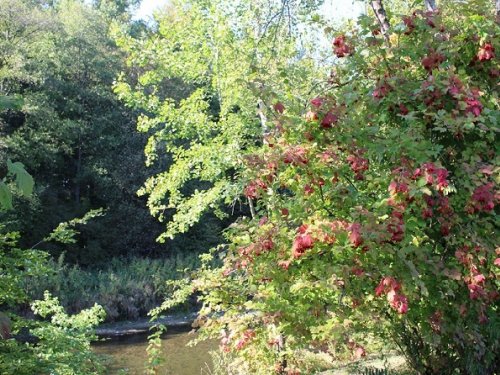 Свободным остаться