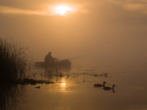 Утонувшего в озере охотника с ружьем ищут в Алтайском крае