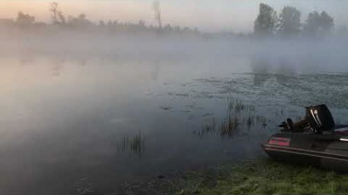Новосибирская Область. Река Чаус. Утро