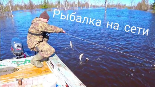 Охота на рыбу сетями /  рыбалка в затопленом лесу / живём на чердаке / наводнение 2020.