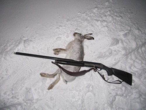 Ночной дозор.