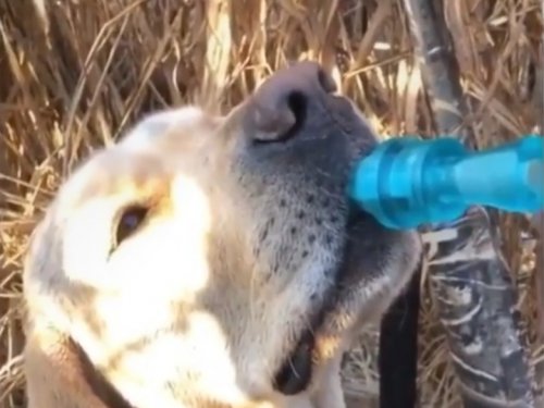 "Преступление" и наказание.