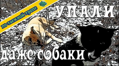 Захожу на охотничий участок впереди 50 км дорог