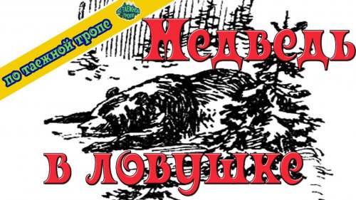 Охота на медведя. Медведь попался в ловушку