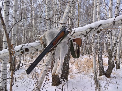 Долгожданный снег и трофей.