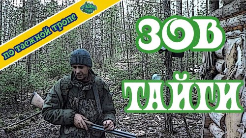Одиночный поход в лес Иду на свою таежную избу
