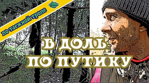 Соболь. Установка капканов на соболя  Охота.