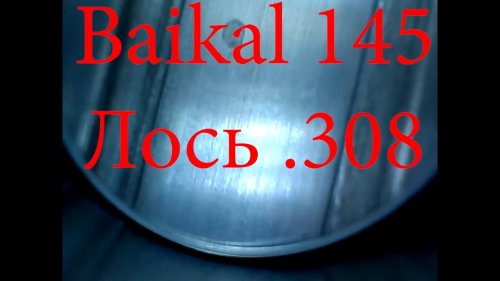 Осмотр бороскопом  нового Baikal 145 Лось