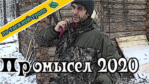 Промысел в тайге Подготовка путиков Охота с лайками