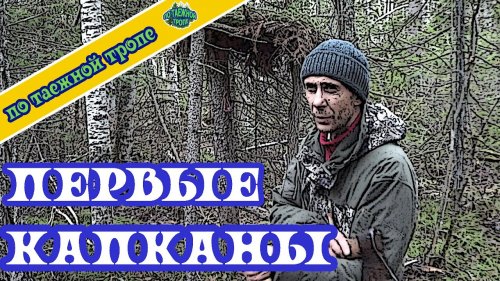 Охота на соболя. Установка капканов на соболя по небольшому путику. День на промысле от зори до зори