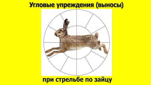 Угловые упреждения (выносы) при стрельбе по зайцу и другой наземной дичи