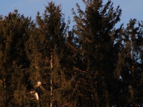 Признание себе