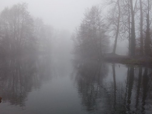 В поисках Царь птицы.