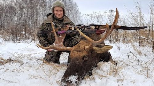 Загонная охота на лося из лука / Driving Hunting Moose Archery