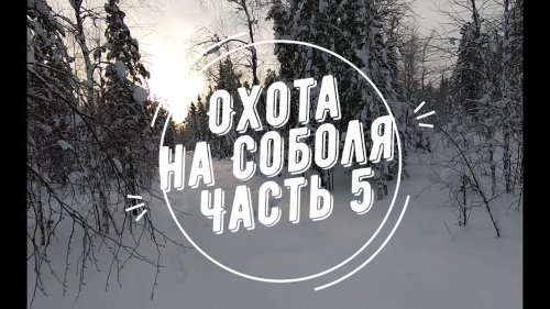 Охота на соболя.  Часть 5.