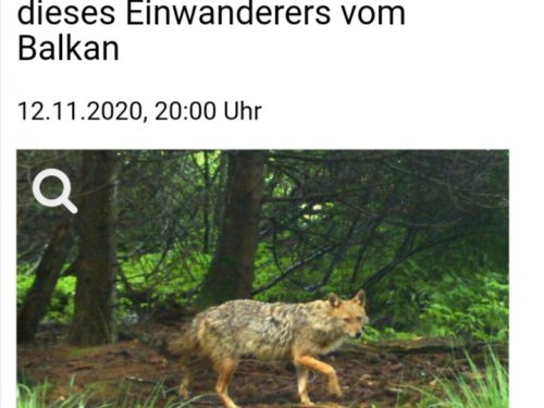 Пока верстался номер, или первые ласточки.