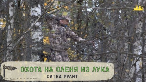 Охота на оленя с луком.