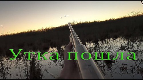 Охота на уток зимой январь 2021. Duck hunting in winter January 2021.