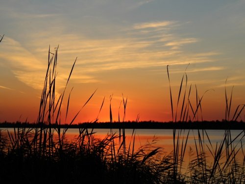 На поздней зорьке