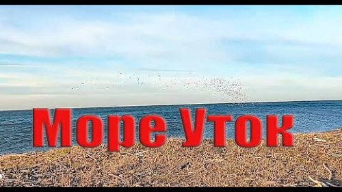 Охота на уток зимой. Утренняя и вечерняя охота !!! Сотни уток. Duck Hunting. Hundreds of raids.