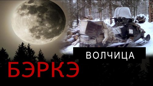 Волчица. Волчица.