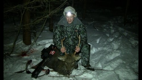 Охота из арбалета на благородного оленя / Hunting a crossbow for a noble deer
