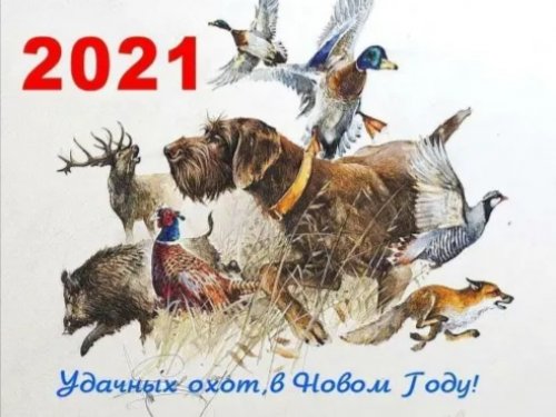 Новогодняя охота.