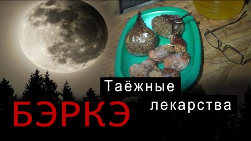 Лекарственные растения от Бэркэ.