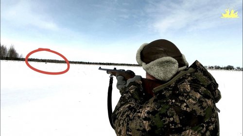 Муфлон 130 шагов по планке! (Sako 308 Win)