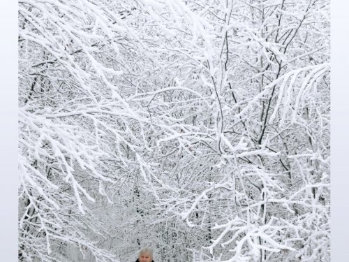 Сказочная тайга.