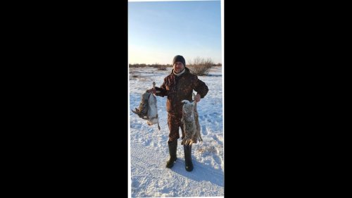 Охота на зайца. 30 января 2021 г.Алматинская область,о\х "Бакбакты"