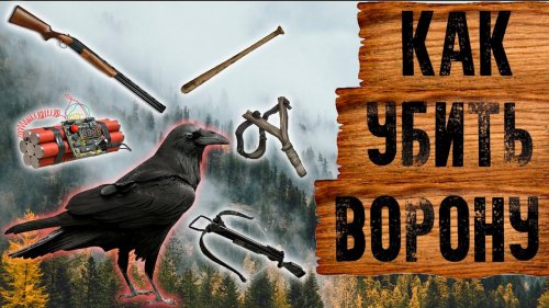 Охота на ворон! | Crow hunt! (КАК, КОГДА, ЧЕМ?) Зачем убивать ворон?