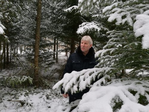 Сказочная тайга. 2