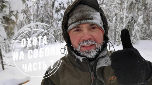Охота на соболя.  Часть 7.