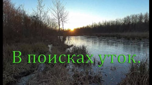 Зимняя охота на уток 2021 ????????. Трудовая охота на уток, их нужно найти.